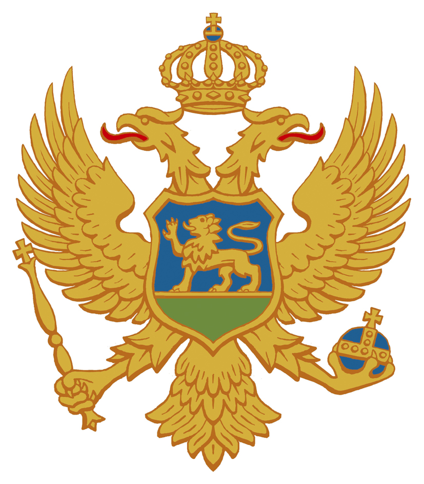 MSD Logo
